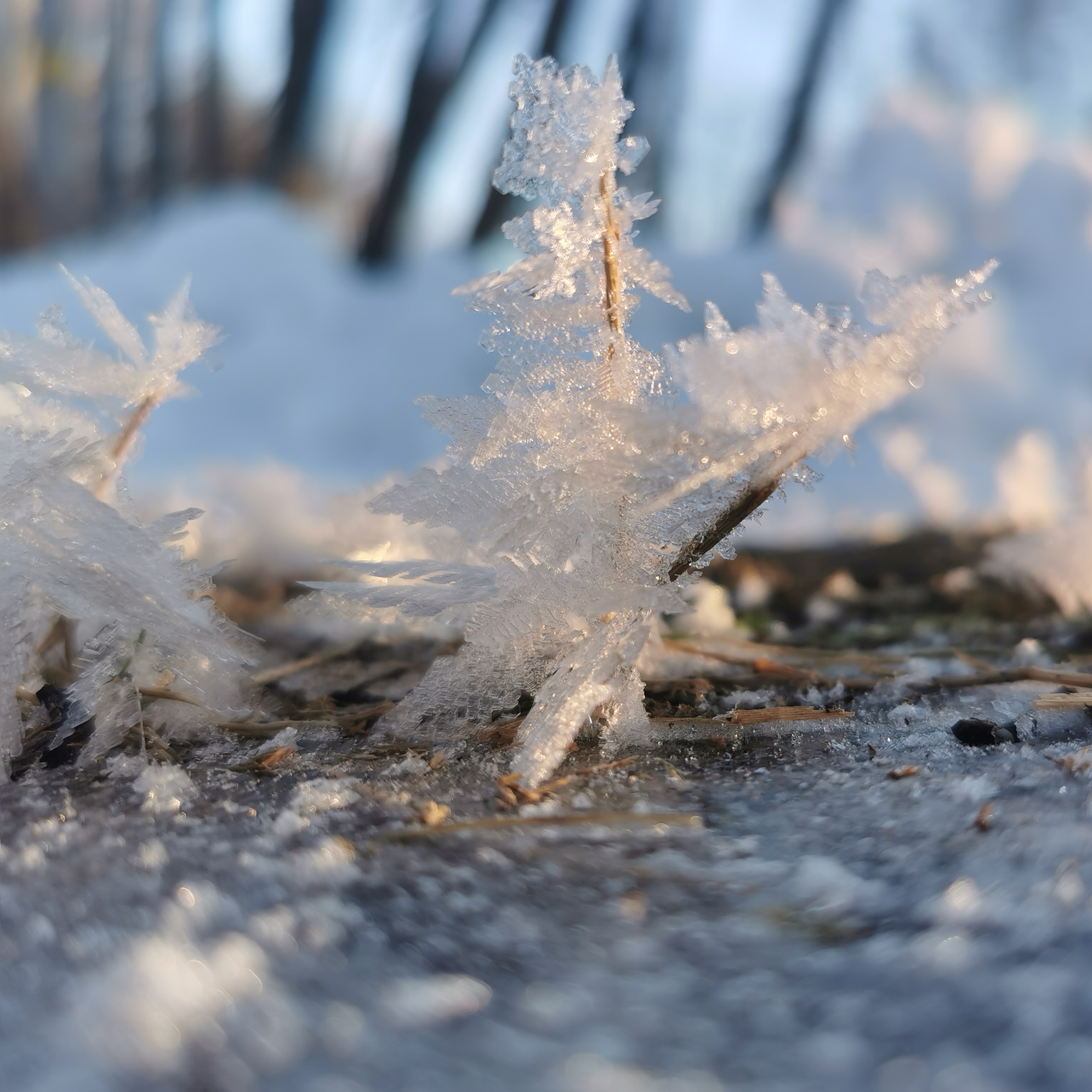 vinterlandskap bergslagen i snö snökristaller